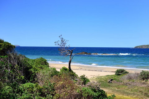 Aqualuna Beach Resort - Unit 25 - Accommodation Coffs Harbour 3