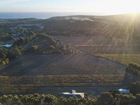Arimia Estate Guesthouse - Accommodation Coffs Harbour 1