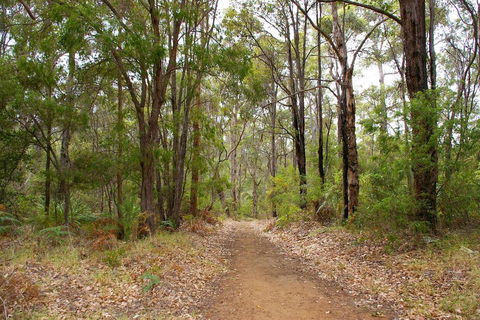 Ashleigh - Accommodation Coffs Harbour 2