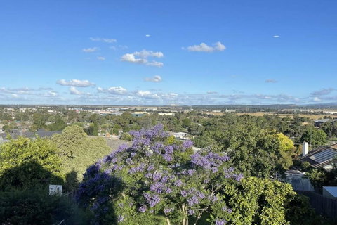 Morwell Pet Friendly 3 BRMS Rental Home Free Wi-fi - Accommodation Coffs Harbour 3