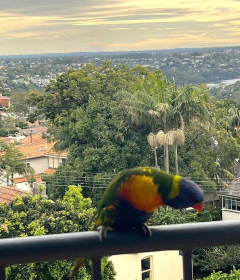 Mosman Views, 2bed, Parking, 15min Walk To Beach - Accommodation Coffs Harbour 1
