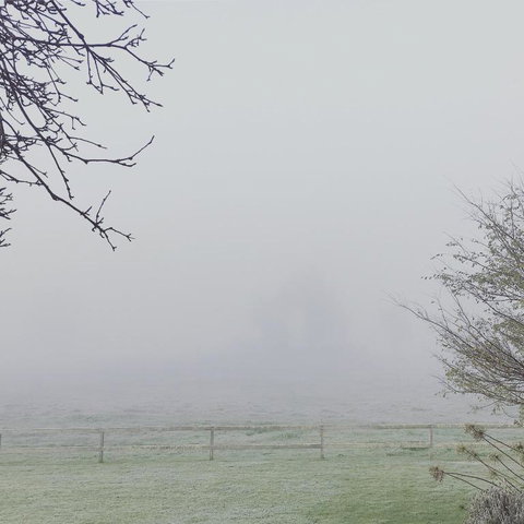 Myrtlemae Farm - Accommodation Coffs Harbour 1