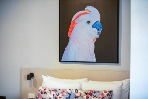 Nightcap At The Charles Hotel - Accommodation Coffs Harbour 3