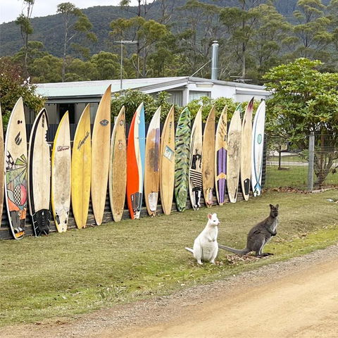 NOFOMO AT ADVENTURE BAY - Accommodation Coffs Harbour 0