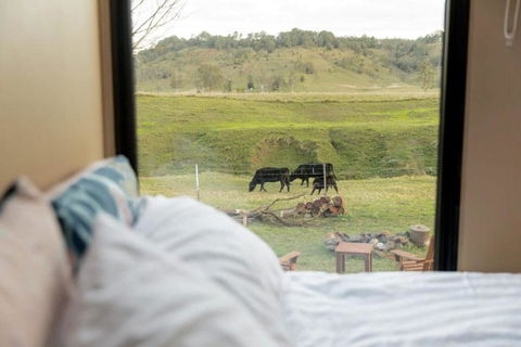 On The Rocks By Tiny Away - Accommodation Coffs Harbour 2