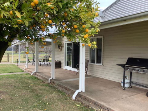 Orange Tree Cottage - Accommodation Coffs Harbour 0