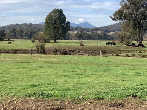 Orange Tree Cottage - Accommodation Coffs Harbour 3
