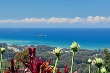 ON TOP Of THE WORLD Garden Studio with Accommodation Coffs Harbour