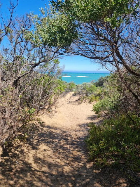 PIECE OF PARADISE, Huge 4 Bedroom Haven - Accommodation Coffs Harbour 0