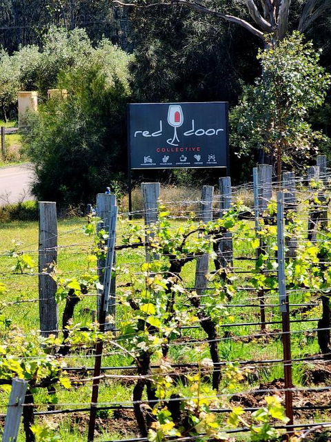 Red Door Collective - RDC Vineyard Estate, Luxury Adult Only Stay - Accommodation Coffs Harbour 1