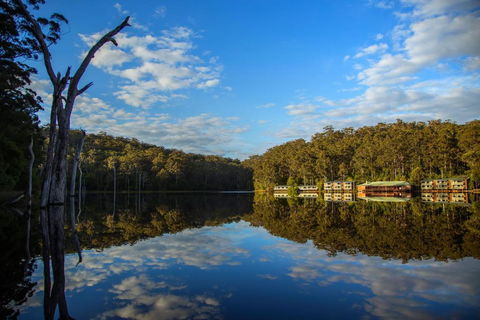 RAC Karri Valley Resort - Accommodation Coffs Harbour 3
