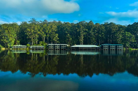RAC Karri Valley Resort - Accommodation Coffs Harbour 2