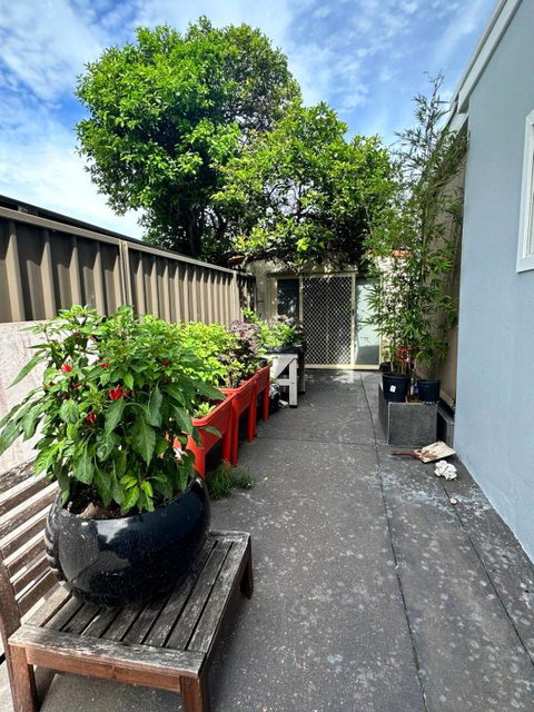 Private, Local Living Studio In Mascot, Airport - Accommodation Coffs Harbour 2