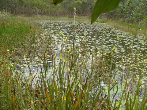 Back To The Bush - Accommodation Coffs Harbour 3