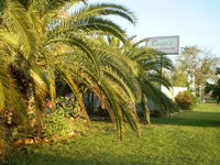 Book Winton Accommodation Vacations Accommodation Coffs Harbour Accommodation Coffs Harbour