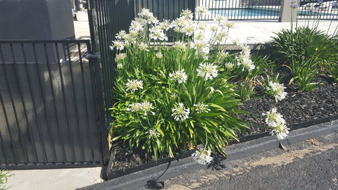 Bathurst Gold Panner - Accommodation Coffs Harbour 1