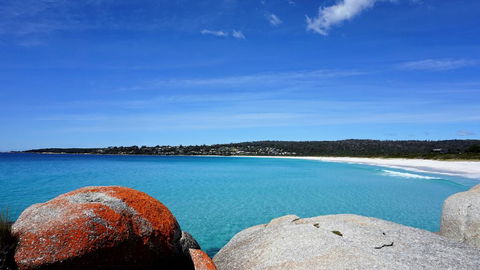 BAY OF FIRES BEACH SHACK Ocean Views From A Modern Beachhouse - Accommodation Coffs Harbour 3