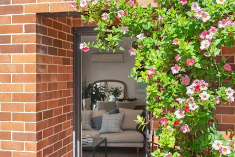 Reed Cottage - Accommodation Coffs Harbour 0