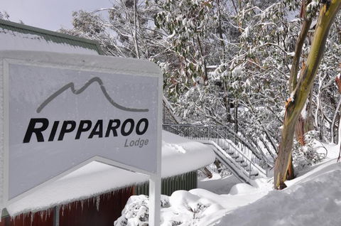 Ripparoo Lodge - Accommodation Coffs Harbour 0