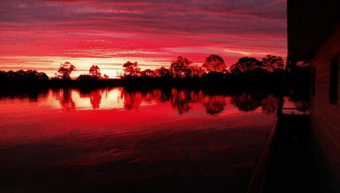 Rivershack Pet Friendly - Accommodation Coffs Harbour 3