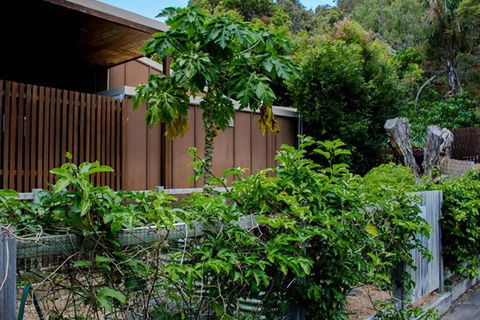 Sand Dweller Holiday Villa Point Lookout - Accommodation Coffs Harbour 1