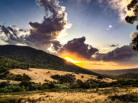 Roam Merrijig - Luxury Stay With Mountain Views - Foothills Of Mt Buller - Accommodation Coffs Harbour 1