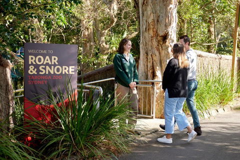 Roar And Snore - Accommodation Coffs Harbour 1