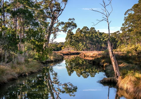 Saintys Creek Cottage - Accommodation Coffs Harbour 3