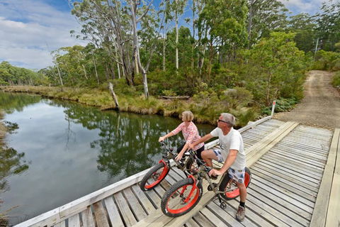 Saintys Creek Cottage - Accommodation Coffs Harbour 2
