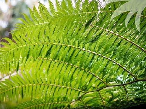 Bessou - Accommodation Coffs Harbour 3