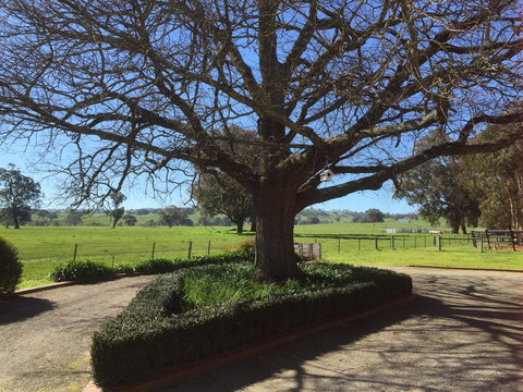 Birchwood Cottage - Accommodation Coffs Harbour 1