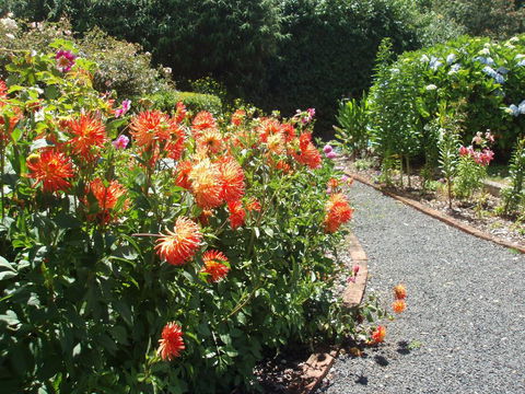 Boat Harbour Garden Cottages - Accommodation Coffs Harbour 0