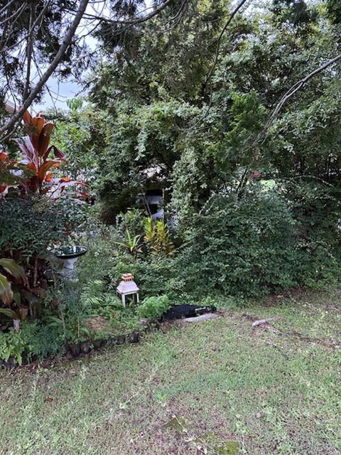 The Singing Frogs Studio - Accommodation Coffs Harbour 2