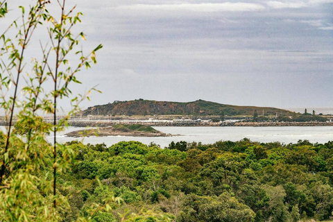 Wave Cave Suite - Accommodation Coffs Harbour 2