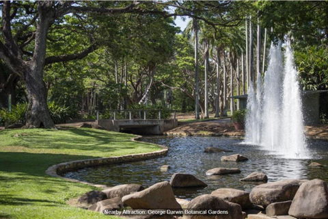 ZEN TREETOPS - Boutique 2-BR Apt W/ Private Pool - Accommodation Coffs Harbour 3