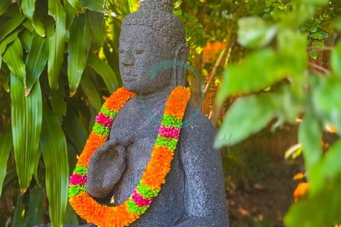 Zenhouse: 6-BR Balinese Tropical Oasis In Nightcliff Central - Accommodation Coffs Harbour 3