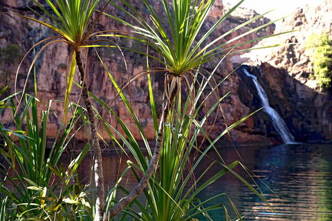 3-Day Kakadu 4WD Camping Safari From Darwin - Accommodation Coffs Harbour 2
