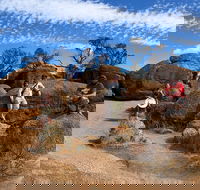 The Big Wave Rock Private Day Tour - Accommodation Coffs Harbour