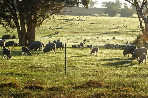 The Big Wave Rock (Private) Day Tour - Accommodation Coffs Harbour 1