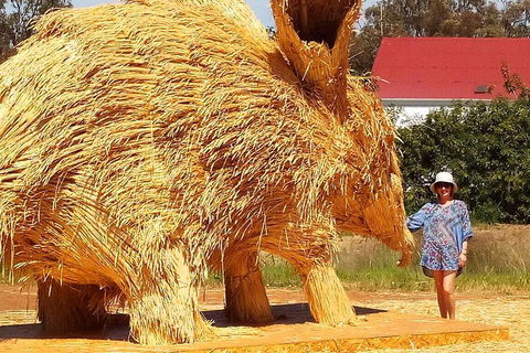 The Big Wave Rock (Private) Day Tour - Accommodation Coffs Harbour 5