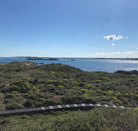 Penguin Island And Fremantle - Canoe Chocolate  Coffee