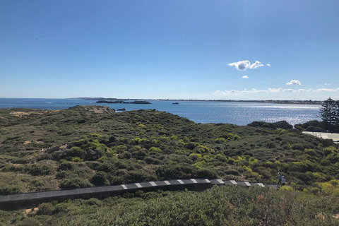 Penguin Island And Fremantle - Canoe, Chocolate & Coffee - Accommodation Coffs Harbour 0