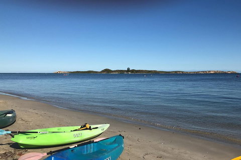 Penguin Island And Fremantle - Canoe, Chocolate & Coffee - Accommodation Coffs Harbour 2
