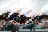 Book Viator Accommodation Vacations Accommodation Coffs Harbour Accommodation Coffs Harbour