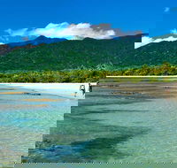 5-Day Best of Cairns with Daintree Kuranda and Great Barrier Reef - Accommodation Coffs Harbour