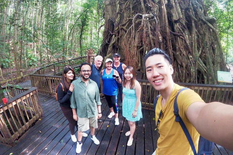 Cairns 4WD Waterfall And Rainforest Tour Including Kuranda Scenic Railway - Accommodation Coffs Harbour 0