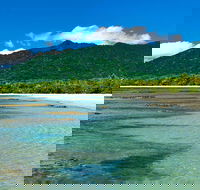 8-Day Cairns Tour Great Barrier Reef Kuranda Daintree Rainforest - Accommodation Coffs Harbour