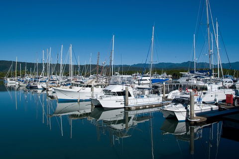 Cairns Reef And Rainforest Combo: Daintree Rainforest And The Great Barrier Reef - Accommodation Coffs Harbour 5