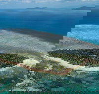 4-Day Cairns with Great Barrier Reef and Daintree Rainforest - Accommodation Coffs Harbour