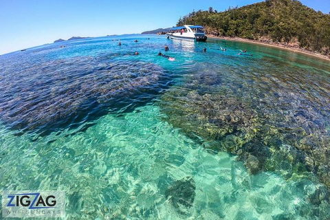 Whitehaven Beach Day Tour With Snorkel In Whitsundays Island - Accommodation Coffs Harbour 5